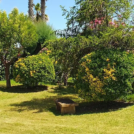 Apartment Perla Blu